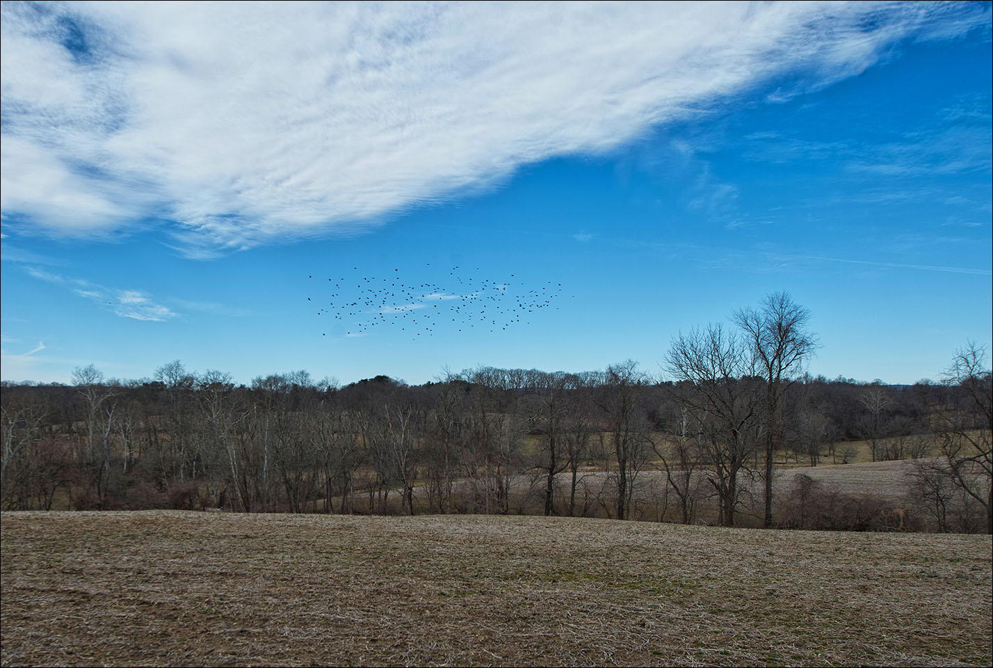 The Lincoln Loop Walking Tour