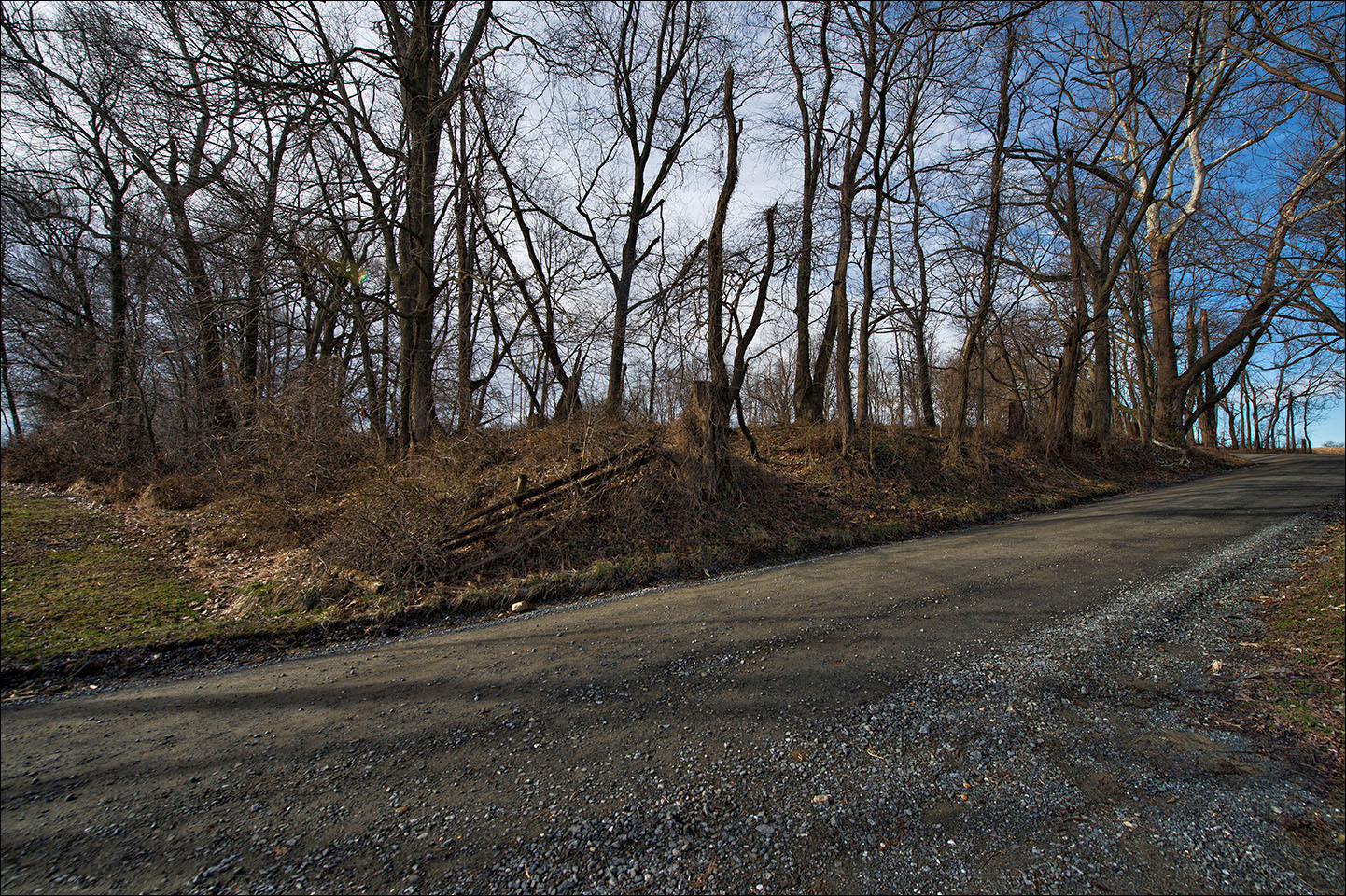 The Lincoln Loop Walking Tour