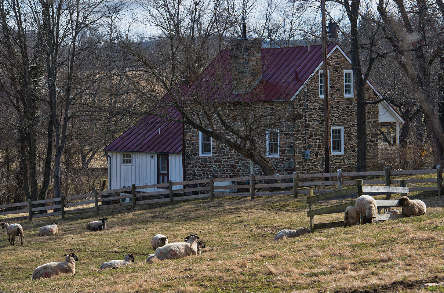 The Lincoln Loop Walking Tour